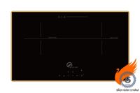 Bếp từ âm 2 vùng nấu Washi WS-201I