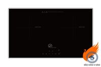 Bếp từ âm 2 vùng nấu Washi WS-202I