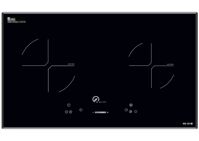 Bếp từ âm 2 vùng nấu Washi WS 201IS