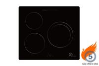 Bếp từ âm 3 vùng nấu Washi WS 301I