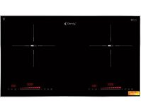 Bếp từ đôi Dandy DY-A101