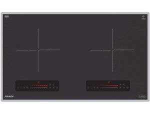 Bếp từ đôi Fandi FD-829IG2