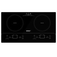 Bếp từ đôi Sanaky SNK-231WBT