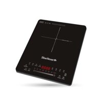 Bếp từ đơn BlueStone ICB-6731