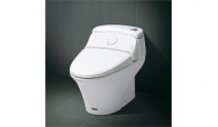 Bệt toilet Inax GC 1017VN 