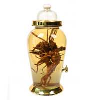 Bình ngâm rượu Yongcheon N6 13.2L