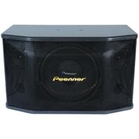 Bộ 2 Loa nằm Peenner PS-699 - lưới sắt