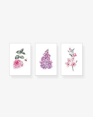 Bộ 3 tranh Flower Watercolor Pink