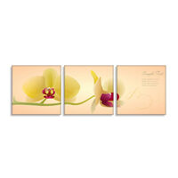 Bộ 3 tranh treo tường Thế Giới Tranh Đẹp POSTER 0035