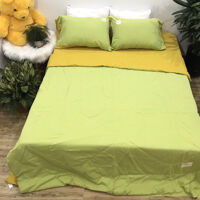 Bộ chăn ga 5 món cotton Basic Solid Rio #FTTH08