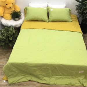 Bộ chăn ga 5 món cotton Basic Solid Rio #FTTH08