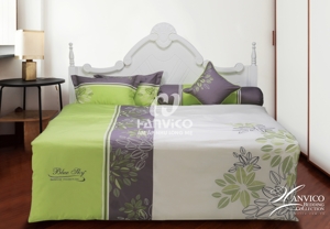 Bộ chăn ga gối Blue Sky BS32