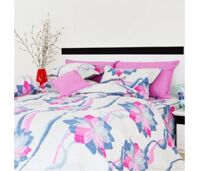 Bộ chăn ga gối Cuscino CS115