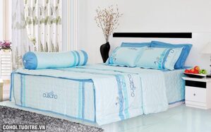 Bộ chăn ga gối Cuscino CS209