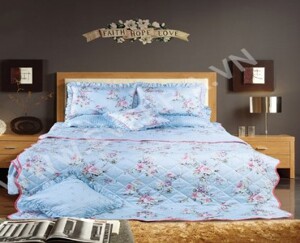 Bộ chăn ga gối Everon EP1523