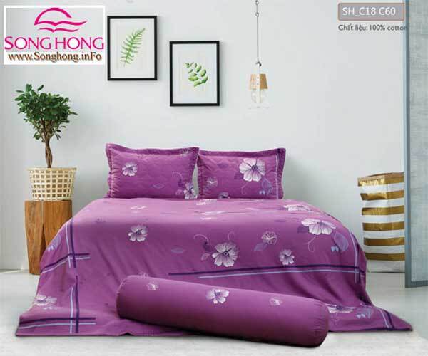 Bộ chăn ga gối Sông Hồng Classic C18 C60