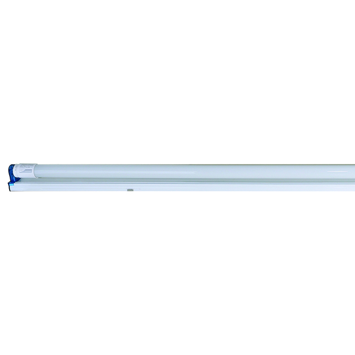 Bộ đèn LED tuýp T8 0.6m thủy tinh Rạng Đông BD T8L TT01 M21.1/10Wx1