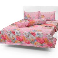 Bộ drap cotton Hàn Quốc cao cấp có mền Evadrap CT6-17 1m6