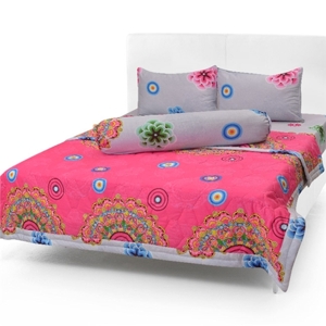 Bộ drap cotton Hàn Quốc cao cấp có mền Evadrap CT6-4 1m6