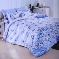 Bộ drap cotton hiệu ToTo nhập khẩu Thái Lan TT231 1m6x2m
