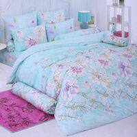 Bộ drap cotton thương hiệu ToTo nhập khẩu Thái Lan 1.6m TT331
