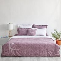 Bộ Ga chun chần bốn mùa Everon EPM21065