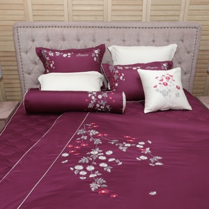 Bộ Ga phủ Everon ESC20001