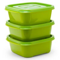 Bộ hộp bảo quản E.Z Lock 3P P-00013Gr - 610ML