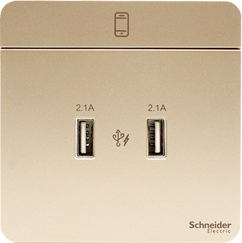 Bộ ổ sạc USB đôi Schneider AvatarON E8332USB_WG_G19
