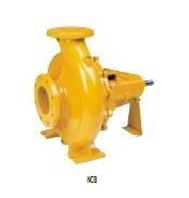 Bơm ly tâm trục ngang rời trục Saer NCB125-250-RA