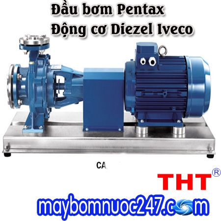 Bơm trục rời đầu bơm Pentax động cơ diezel Iveco CA50-315AN 99HP