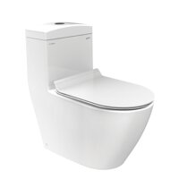 Bồn cầu 1 khối Viglacera Platinum P.11.350