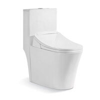 Bồn cầu điện tử Riba RB-2893A