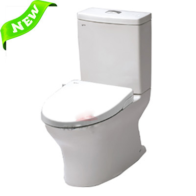 Bồn cầu INAX AC-3003+CW-S15VN (Nắp shower toilet)
