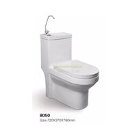 Bồn cầu Napolon 8050