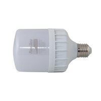 Bóng đèn LED Bulb trụ Rạng Đông TR120N1/40W.H