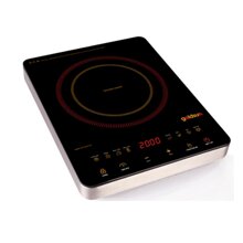 Bếp hồng ngoại Goldsun ECC-GHY116