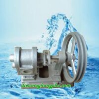 Bully trợ bơm đầu Inox phốt Amiăng A06CS1-080 AM
