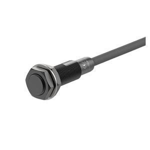 Cảm biến tiệm cận Autonics PRFAT12-2DO-V