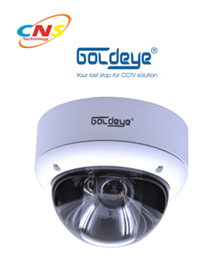 Camera Dome Goldeye MDV33LV