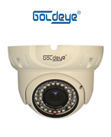 Camera Dome hồng ngoại Goldeye LWV94LV-IR