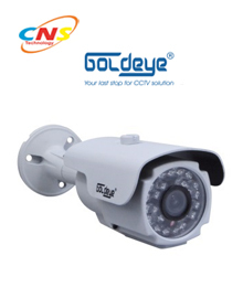 Camera Goldeye SQ584L-IR