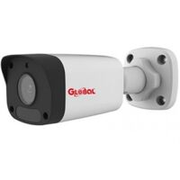 Camera IP 2MP Global TAG-I32L3-FP40-K