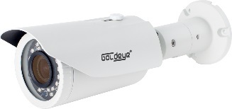Camera IP hồng ngoại Goldeye GE-NRW414-IR - 2MP