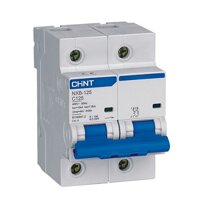 Cầu dao MCB Chint NXB-125 - 125A 10kA 2P