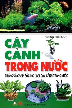 Cây Cảnh Trong Nước