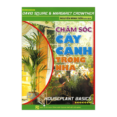 Chăm Sóc Cây Cảnh Trong Nhà