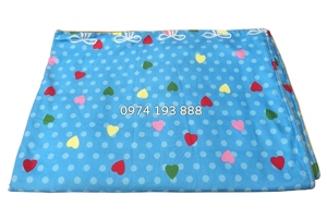 Chăn hè trẻ em hàng Việt Nam CH03