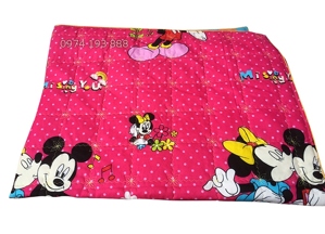 Chăn hè trẻ em hàng Việt Nam CH07