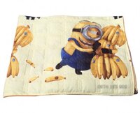 Chăn hè trẻ em hàng Việt Nam CH08